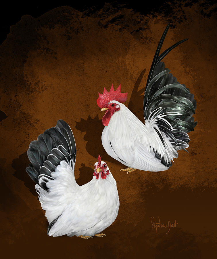 Chickens Digital Art - Japanese Bantams Black Tailed White by Sigrid Van Dort Chickens Digital Art - Japanese Bantams Black Tailed White by Sigrid Van Dort