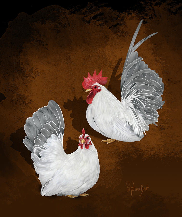 Sigrid Digital Art - Japanese Bantams Blue Tailed White by Sigrid Van Dort Sigrid Digital Art - Japanese Bantams Blue Tailed White by Sigrid Van Dort