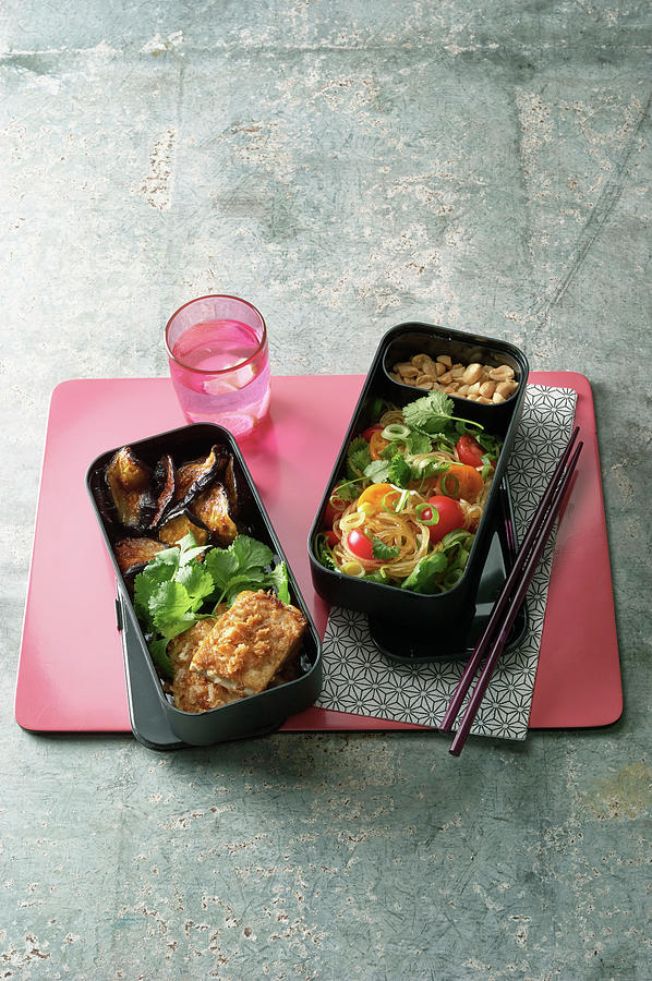 Japanese Bento Box With Tofu In Panko And Glass Noodle Salad Photograph by Stockfood Studios /  Gaby Zimmermann