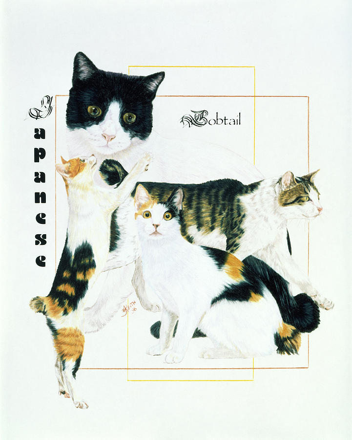 Cat Painting - Japanese Bobtail by Barbara Keith