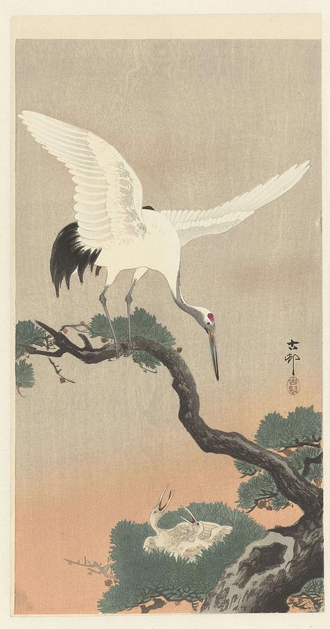 Japanese crane bird on branch of pine, Ohara Koson, 1900 - 1930 Painting by Ohara Koson