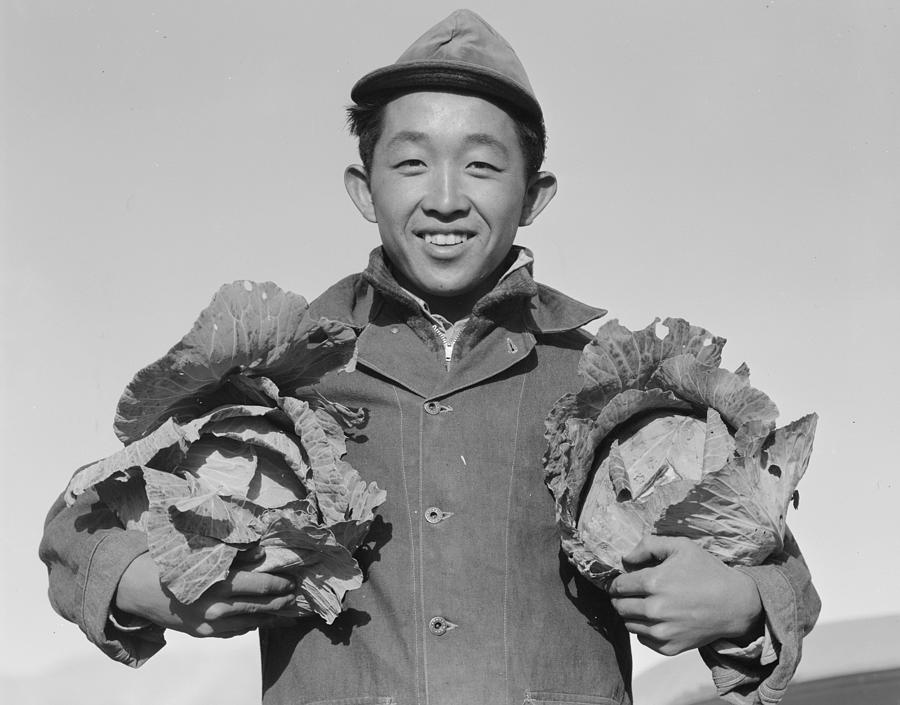 Japanese farmer with cabbages  Manzanar Relocation Center California  1945 photograph by Ansel Adam Painting by Celestial Images