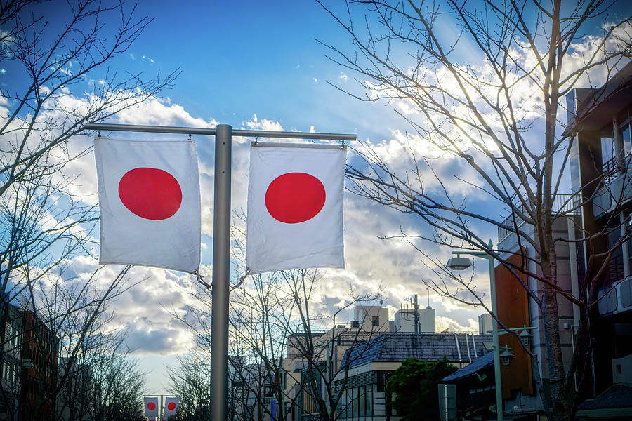 Japanese Flag 1 Photograph by Bill Chizek