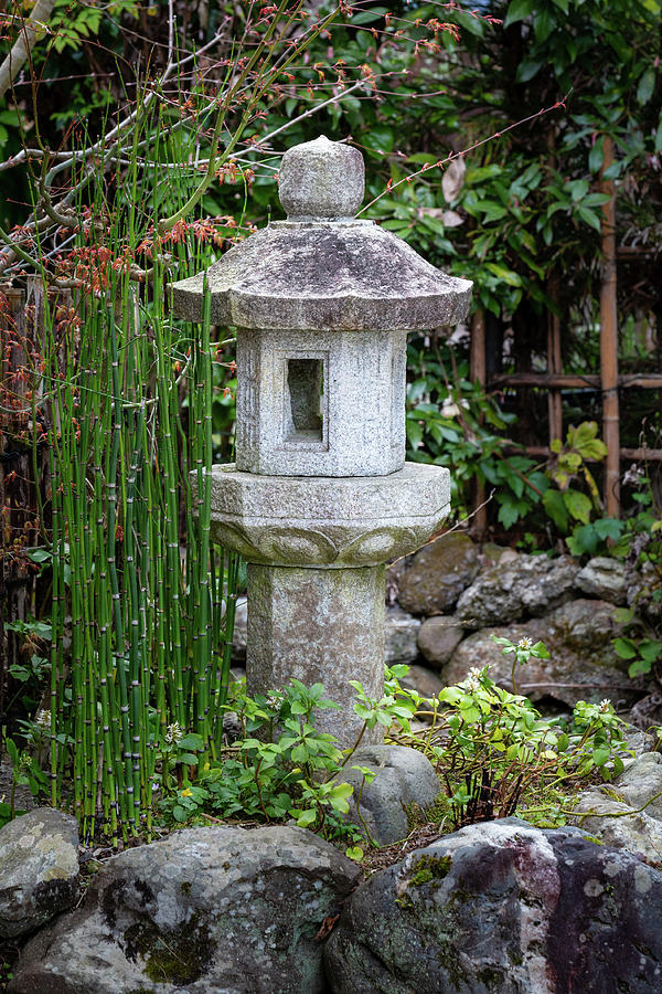 Japanese Garden and Lantern 1  Photograph by Alex Mironyuk