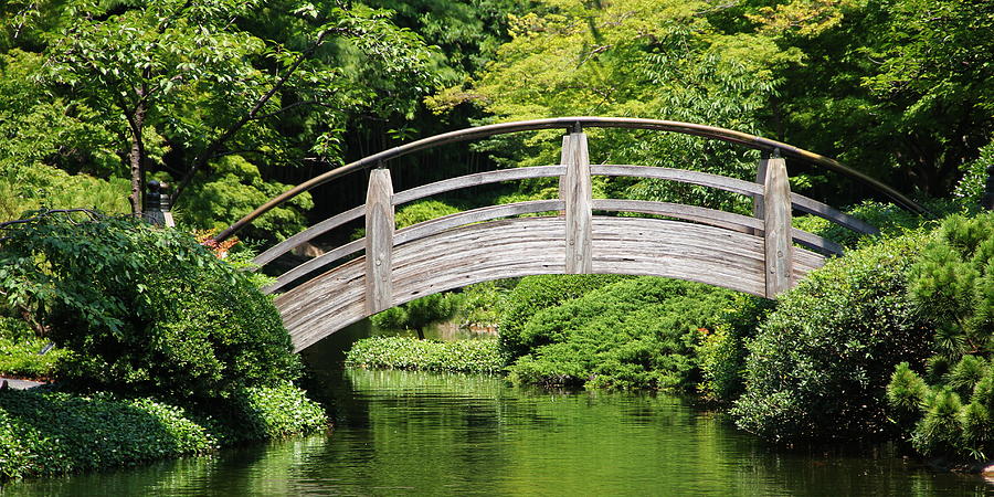 garden arch bridge