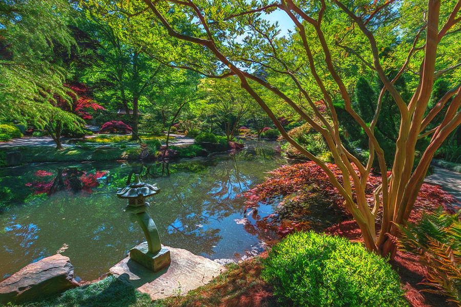 Japanese Garden at Gibbs Watercolor Painting Photograph by Debra and Dave Vanderlaan