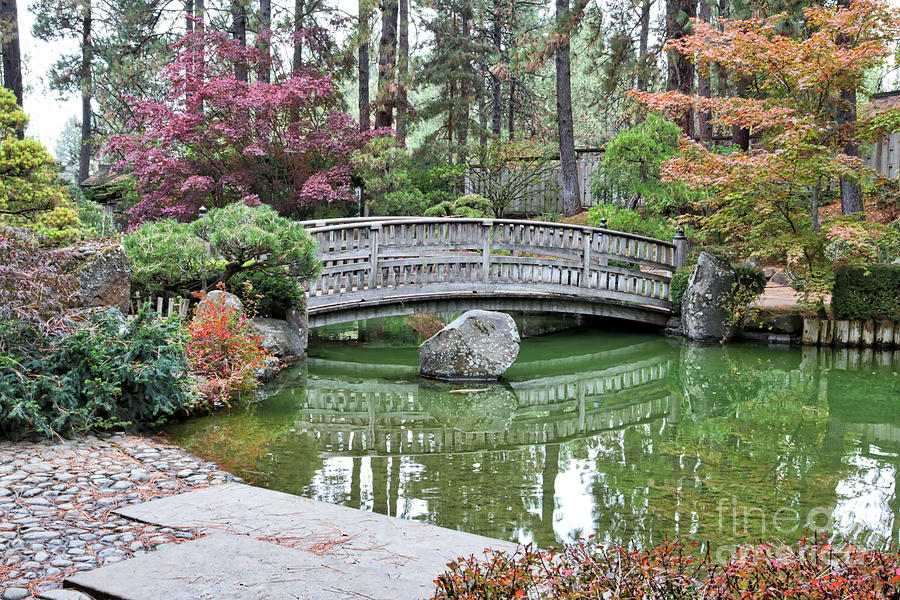 Japanese Garden Bridge Reflection in Autumn Photograph by Carol Groenen