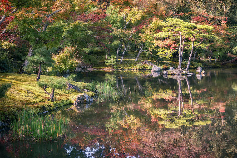 Japanese Garden, colorful in autumn in Kyoto. by Daniela Constantinescu Japanese Garden, colorful in autumn in Kyoto. by Daniela Constantinescu