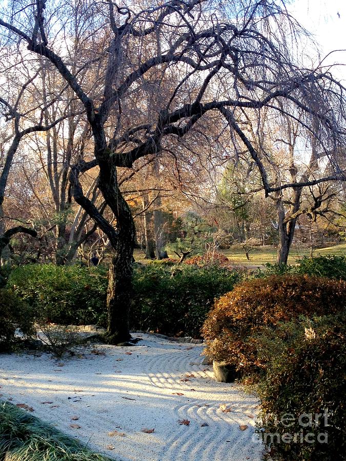 Japanese Garden Elegance Photograph by Nancy Kane Chapman