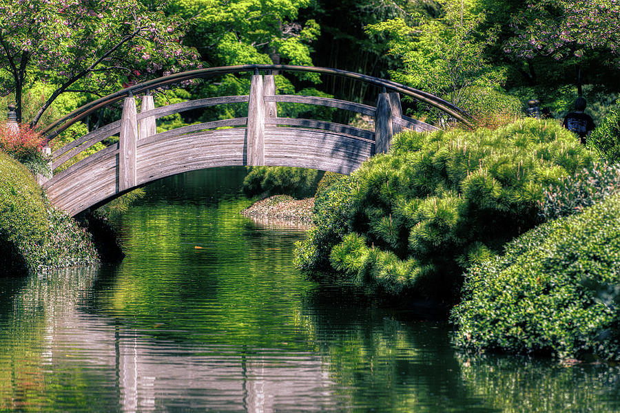 Japanese Garden Fort Worth 101519 by Rospotte Photography Japanese Garden Fort Worth 101519 by Rospotte Photography