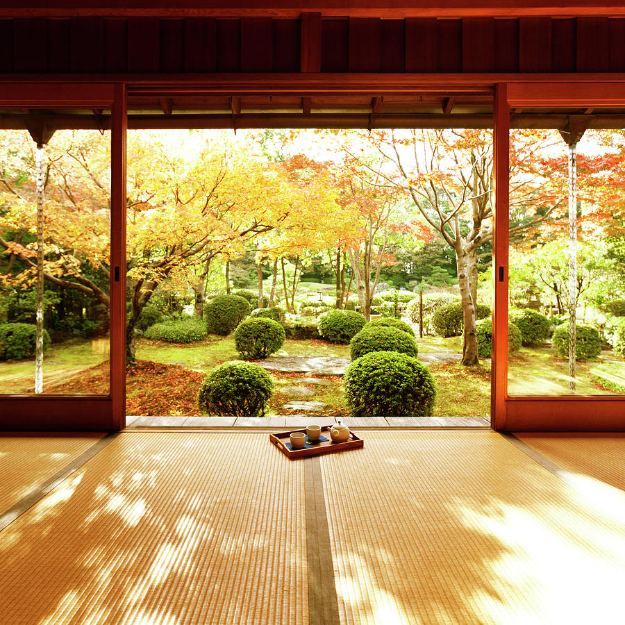 Japanese Garden From The Porch Photograph by Bloom Image