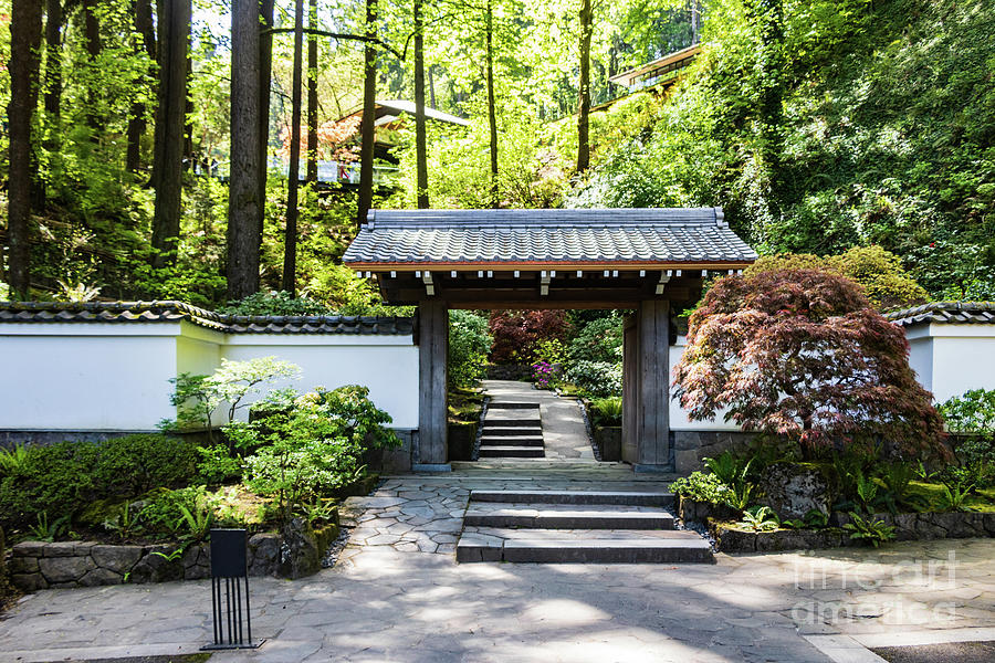 Japanese Garden Gate Photograph by Thomas Marchessault