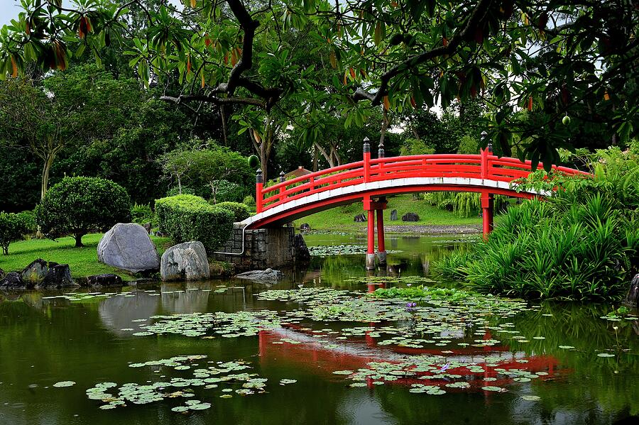 Japanese Garden Photograph by Justin Lee | Fine Art America