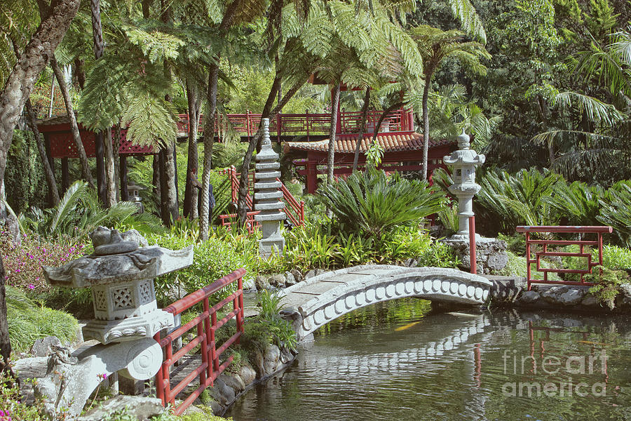Japanese Garden Photograph