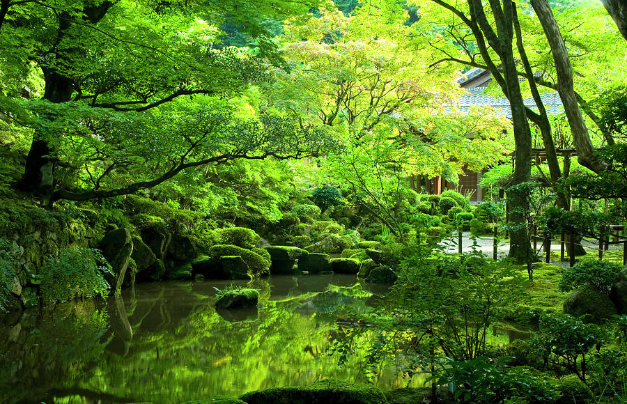 Japanese Garden Photograph by Rawpixel