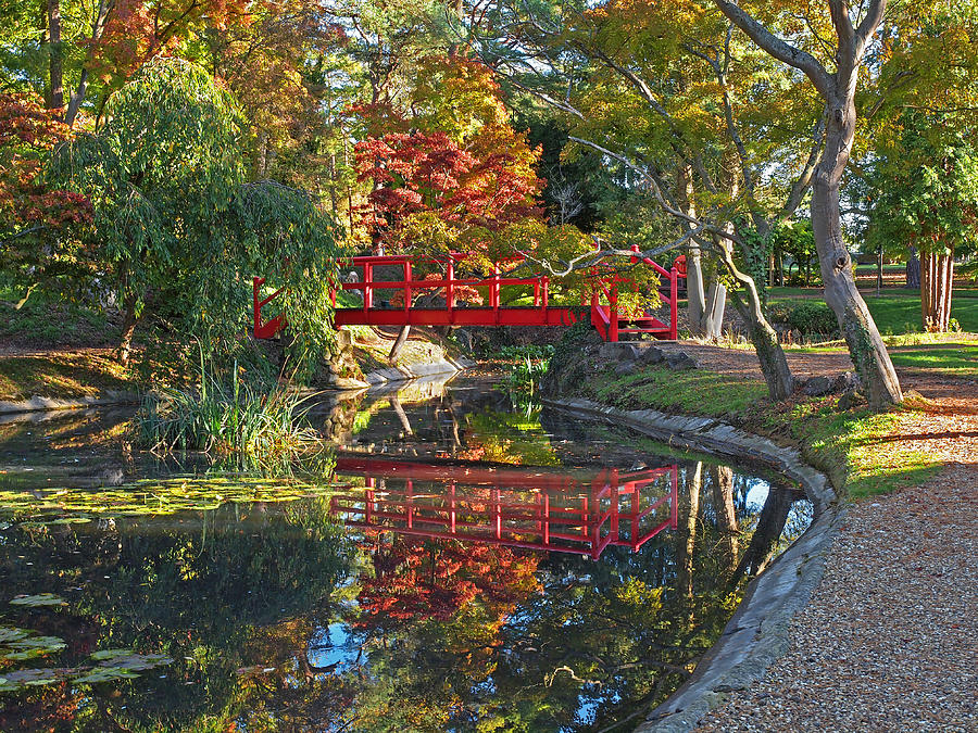 Japanese Garden Red Bridge Reflection Photograph by Gill Billington
