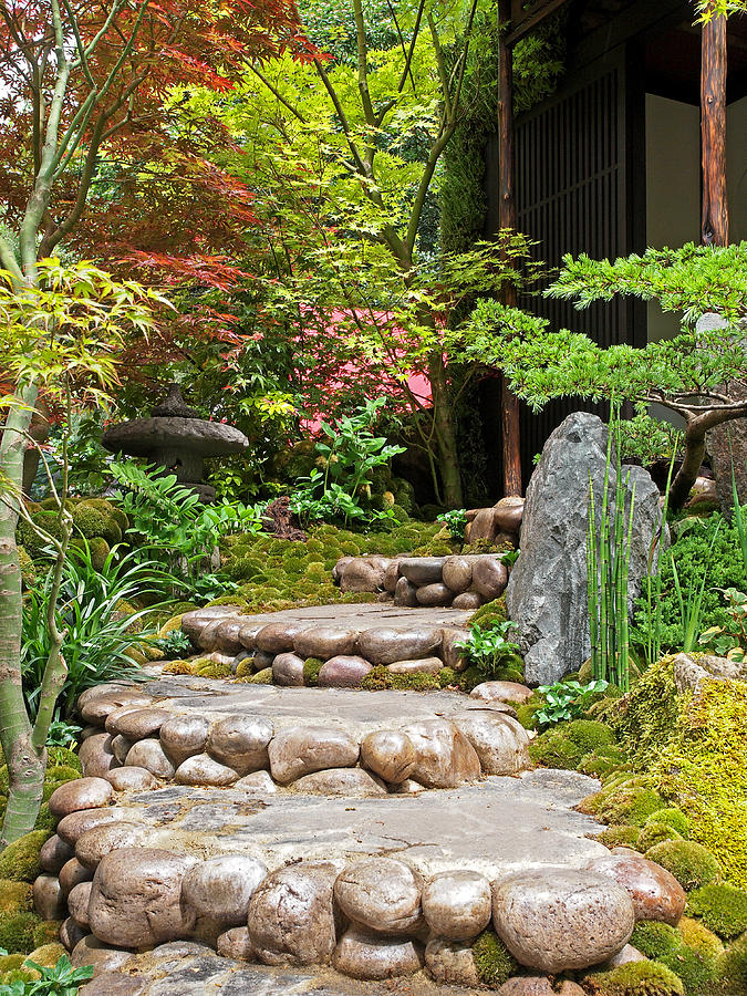 Japanese Garden Steps Photograph by Gill Billington