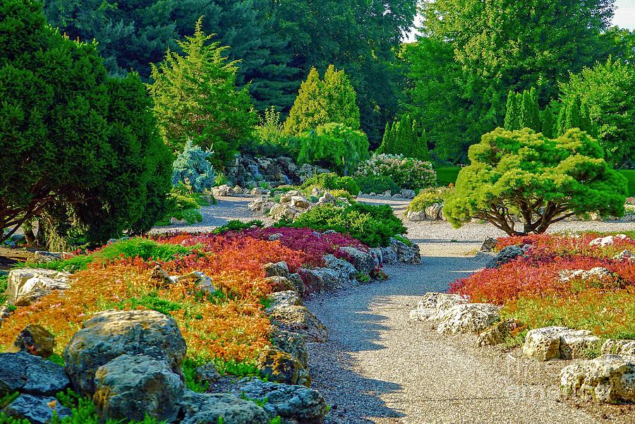 Japanese Garden Photograph by Susan Rydberg