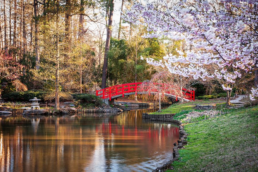 Durham Photograph - Japanese Gardens In Spring Season by Sean Pavone
