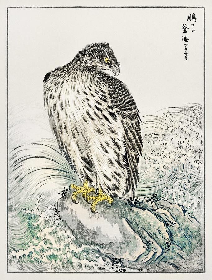 Japanese Golden Eagle and Dark Blue Sea illustration from Pictorial Monograph of Birds  1885 by Num Painting by Celestial Images