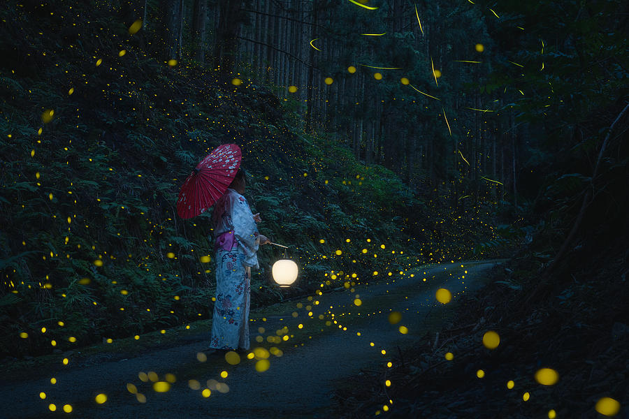 Firefly Photograph - Japanese Kimono And Sea Of Fireflies by Vu Van Quan