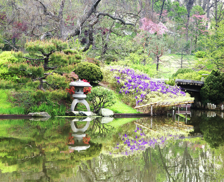 Japanese Lantern Reflection by Steve Edwards Japanese Lantern Reflection by Steve Edwards