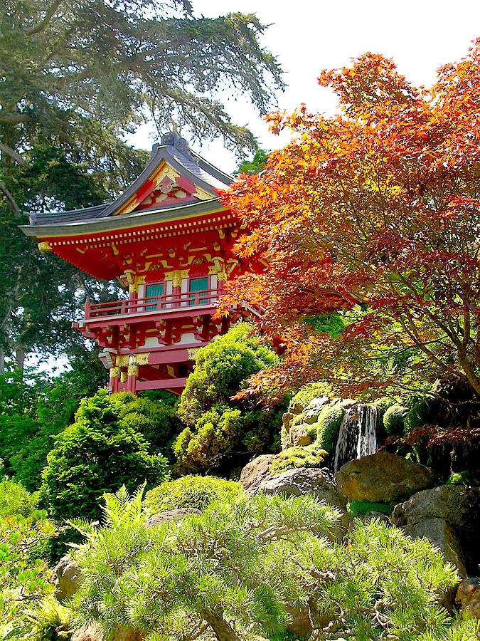 Japanese Tea Garden Pagoda Photograph by Tony Loftin