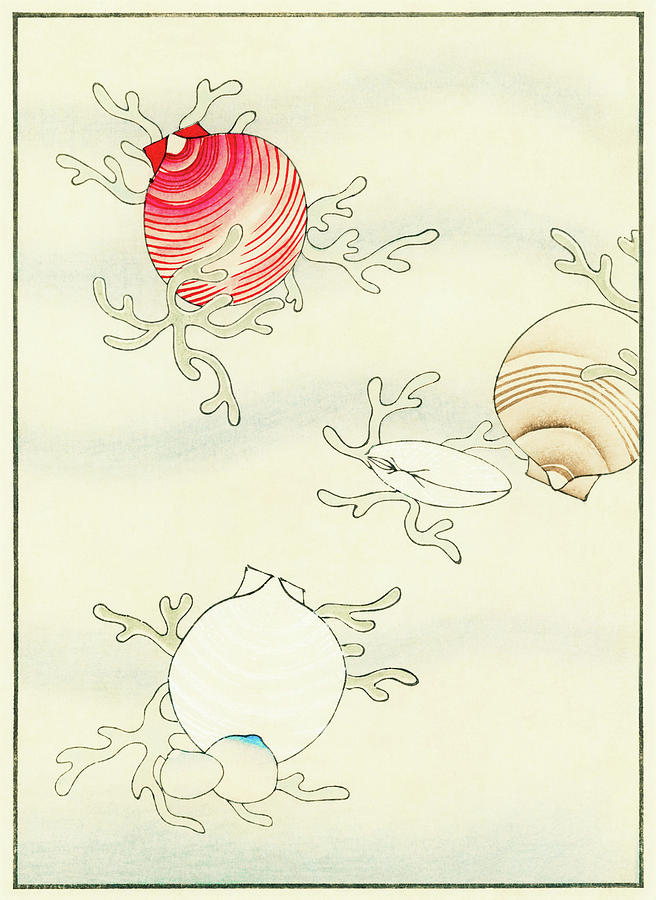 Coral and Shell - Japanese traditional pattern design Painting by Watanabe Seitei