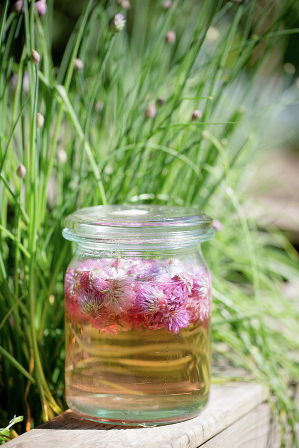 Jar Of Chive-flower Vinegar Photograph by Iris Wolf