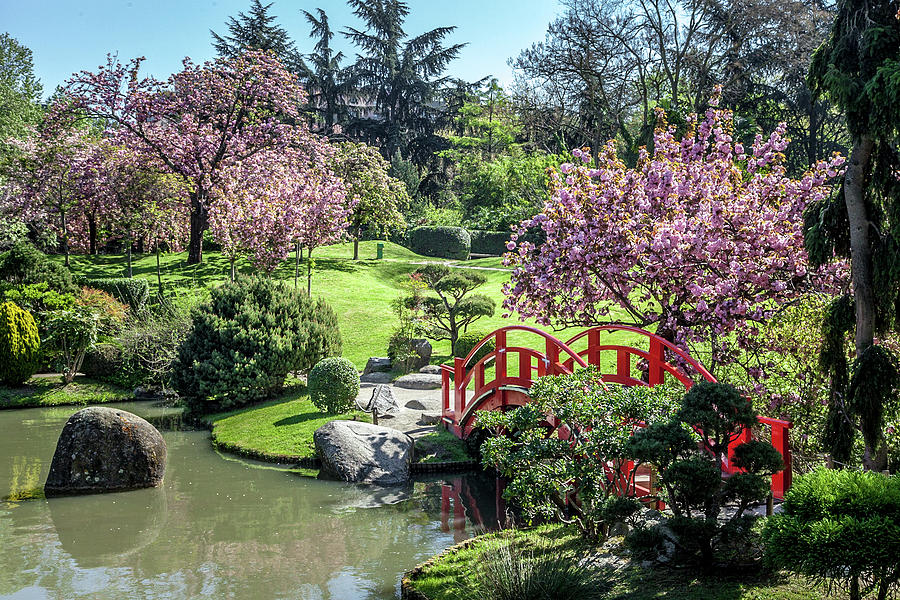 Jardin Japanoise, Toulouse Photograph by W Chris Fooshee