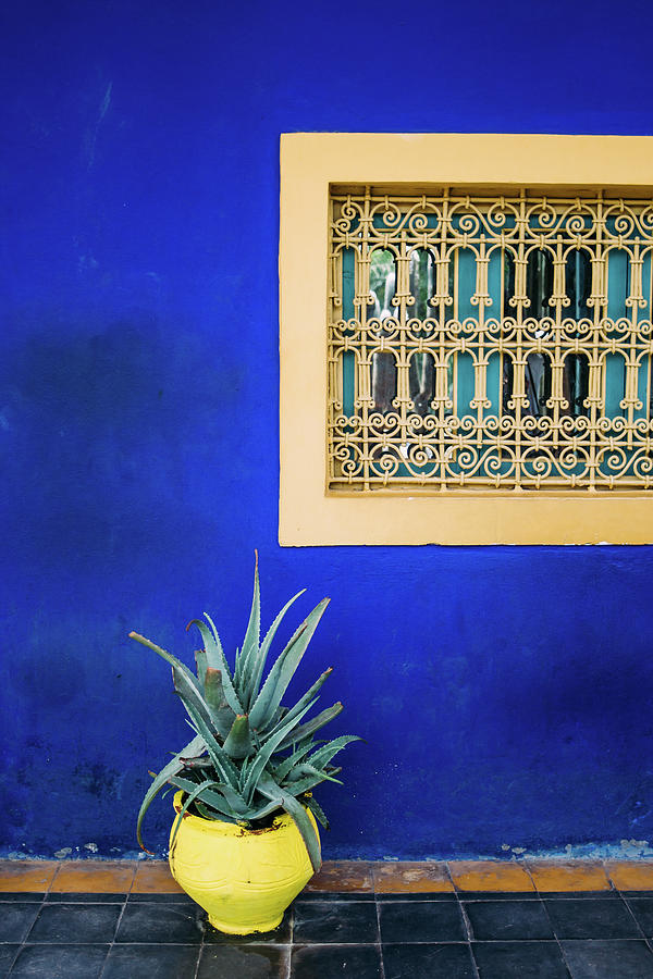 Jardin Majorelle Marrakech Photograph by Pati Photography