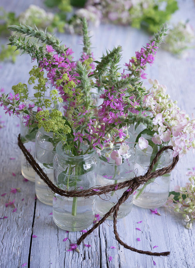 Jars Filled With Hydrangeas, Ladys Mantle, And Purple Loosestrife lythrum Salicaria Photograph by Martina Schindler