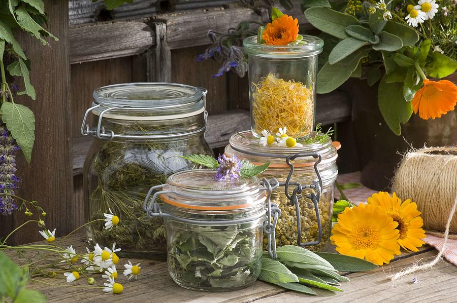 Jars With Dried Herbs Photograph by Friedrich Strauss