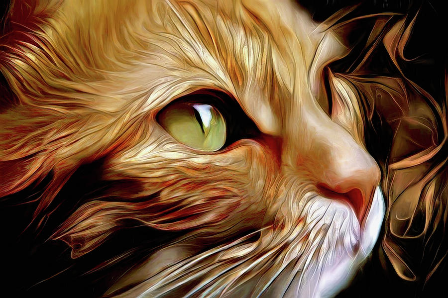Ginger Cat Digital Art - Jasmine the Ginger Cat by Peggy Collins