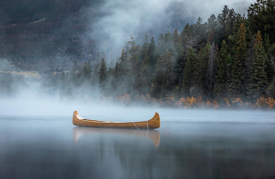 Tree Photograph - Jasper, Canada by Alexander Lozitsky