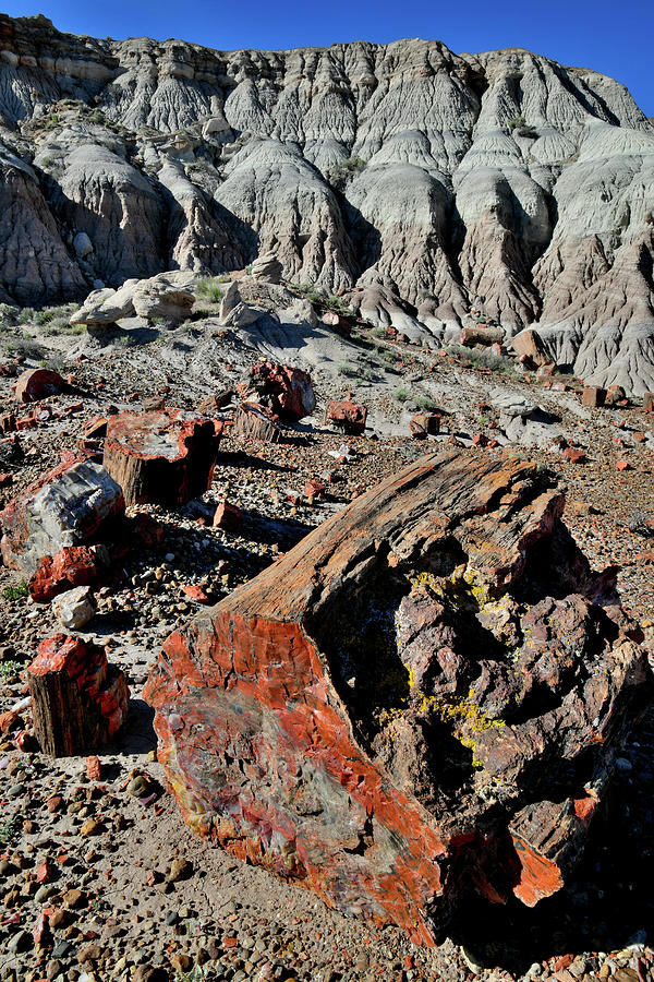 Jasper Forest Overlook in Petrified Forest NP Photograph by Ray Mathis