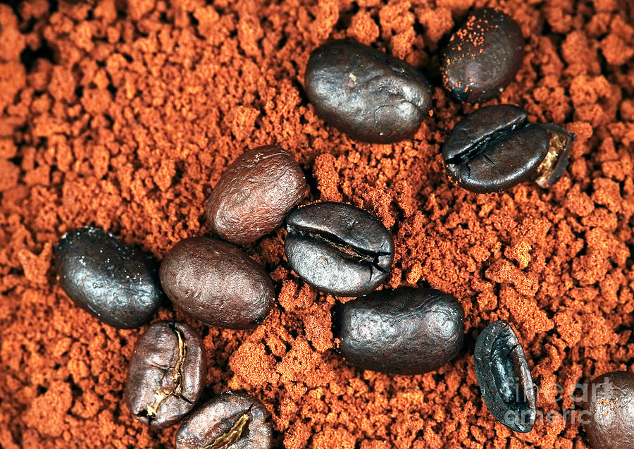 Java Grinds Profile Photograph by John Rizzuto