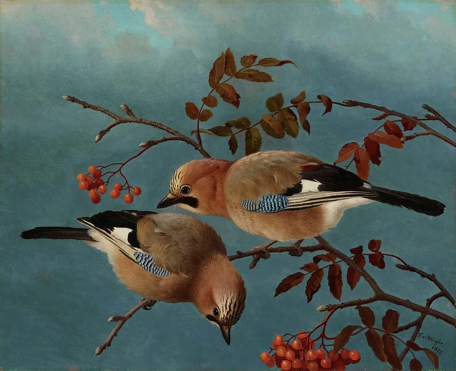 Bird Painting - Jays by Ferdinand Von Wright