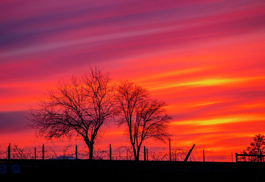 Jazzys Sunset Photograph by Lynn Hopwood