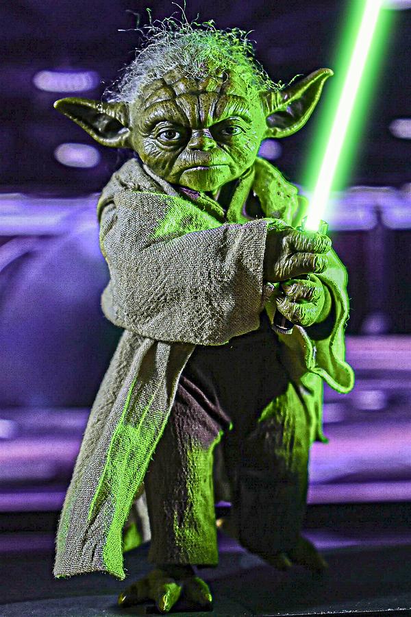 Jedi Master Yoda Photograph by Jeremy Guerin