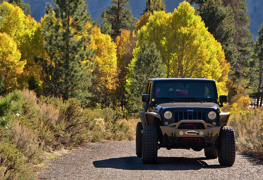 Jeep Wrangler among autumn colors Photograph by Waterdancer