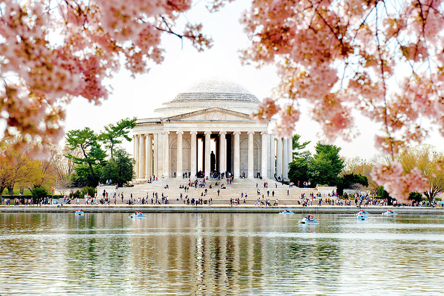 Jefferson Under Blossoms Photograph by Greg Fortier