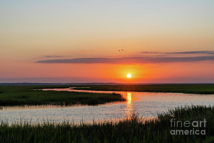 Sunset Photograph - Golden Isles Marshland Sunset by Bee Creek Photography - Tod and Cynthia