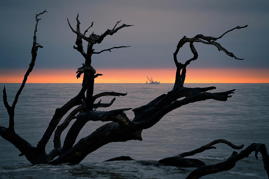 Jekyll Island Sunrise Photograph by James Covello