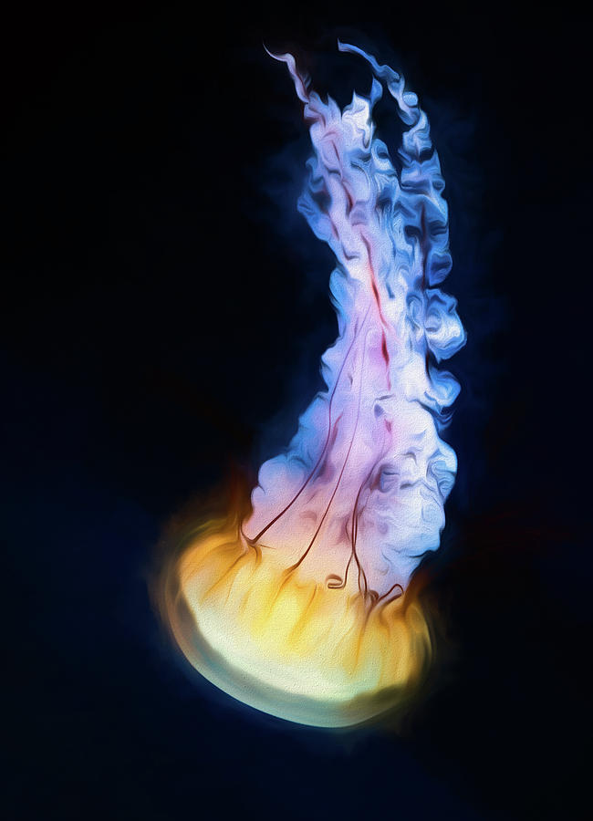 Jelly Glow Photograph by Art Cole