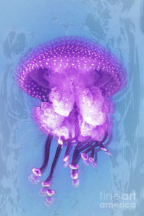 Jellyfish Digital Art by Anthony Ellis
