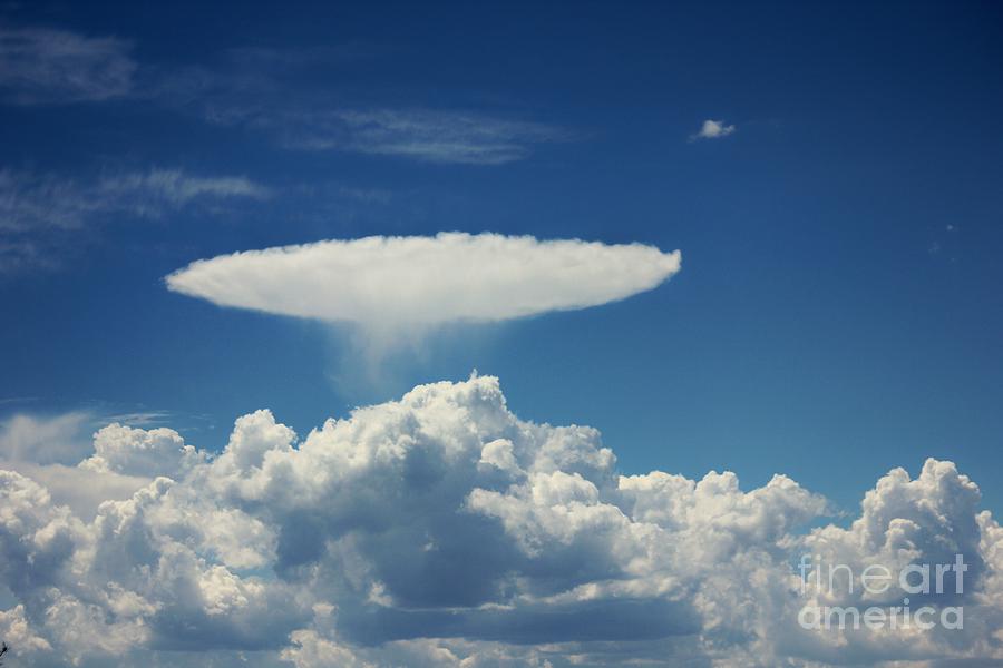 Jellyfish Cloud Photograph by Douglas Miller