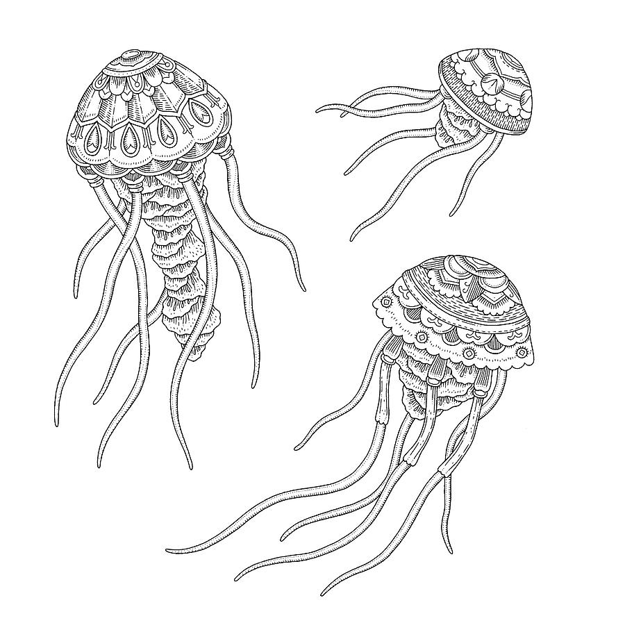 Animals Digital Art - Jellyfish Family by Filippo Cardu Animals Digital Art - Jellyfish Family by Filippo Cardu