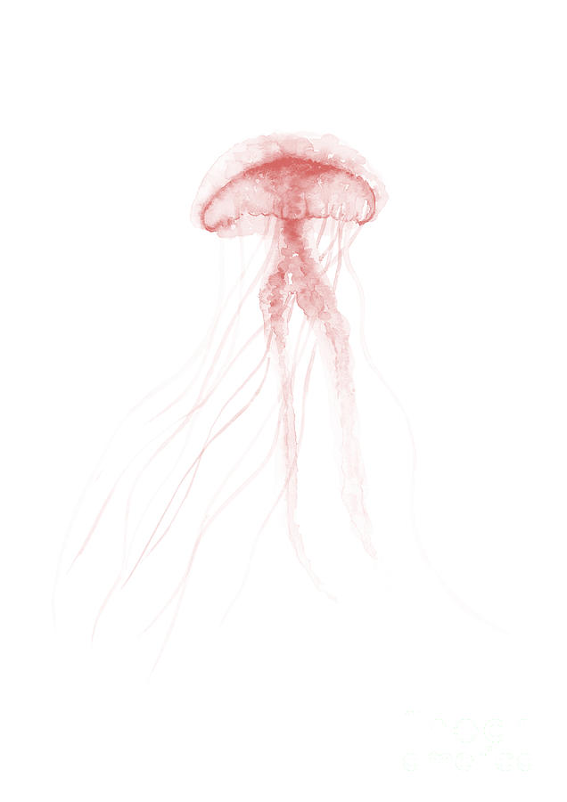 Sea Animals Painting - Jellyfish Poster Sea Animals Watercolor Painting by Joanna Szmerdt