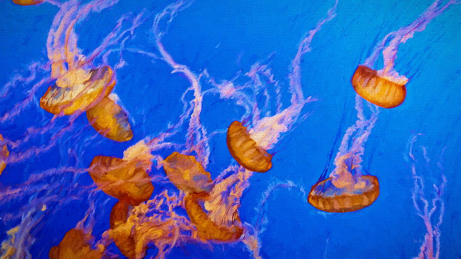Jellyfish Digital Art by Russ Harris